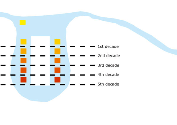 aerial-view-ortho-schematic